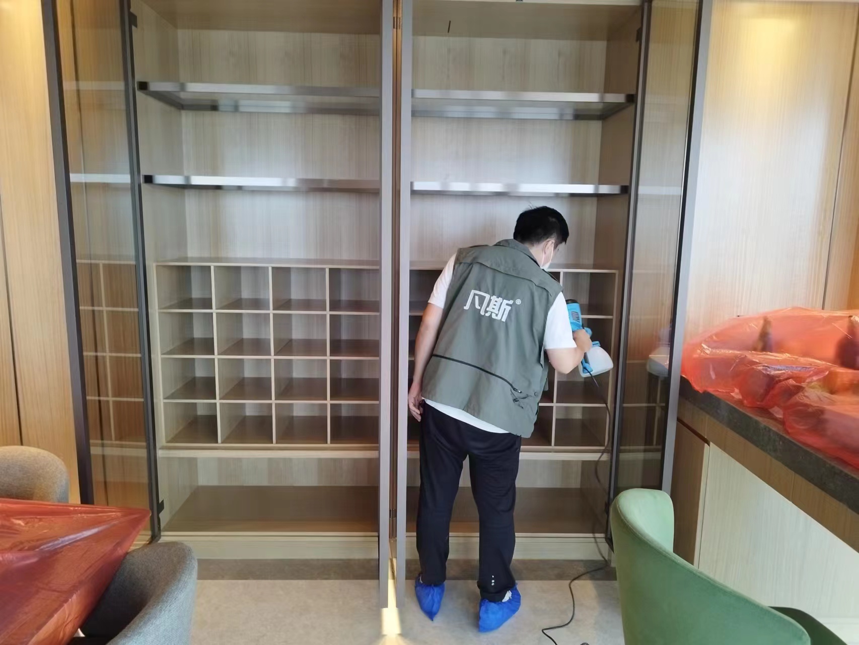 家里綠植的選購(gòu)技巧，凈化室內(nèi)空氣