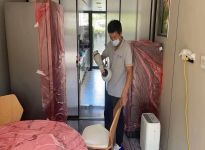 甲醛的危害及清除方法？
